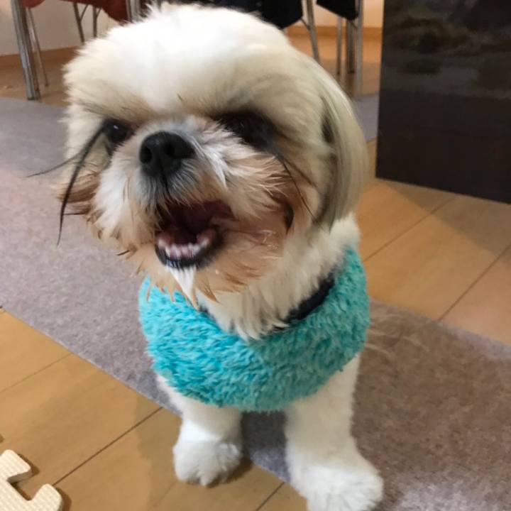 E3711ac3 c424 44a1 850c f058dd8903b7 1574852877780