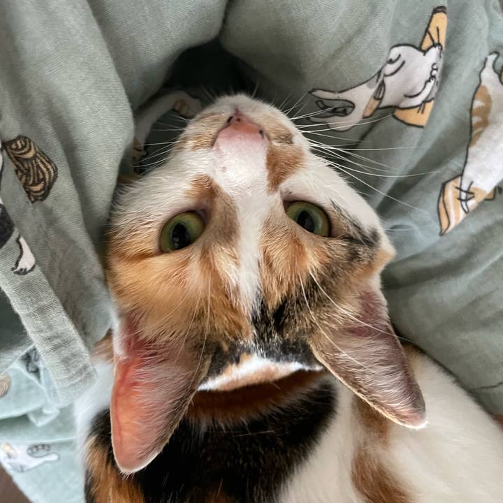 E3712620 b5d0 460c 954d 3a1f5beafc71 1693524824791