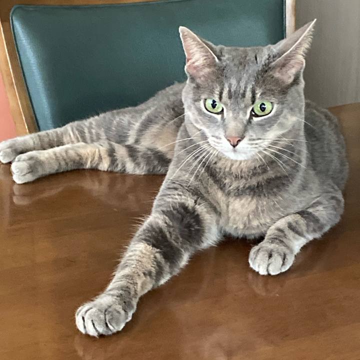 E3718f83 86d3 4540 b65e 580bdf25bbdb 1720223861679