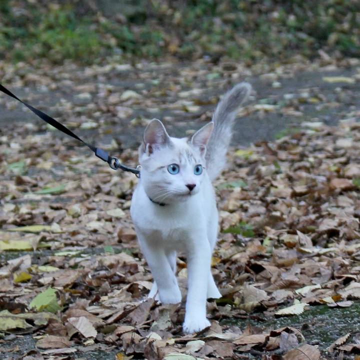 E371e60c 5630 44c0 92c8 f10efc6f99fc 1605481997004