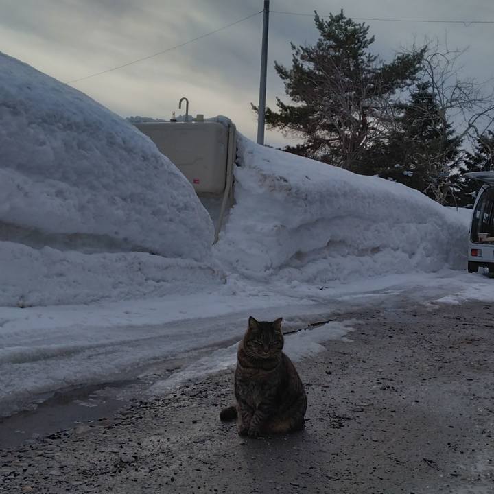 E37215a7 fef6 48cb 9ae9 770ddcb3a32d 1770711118665