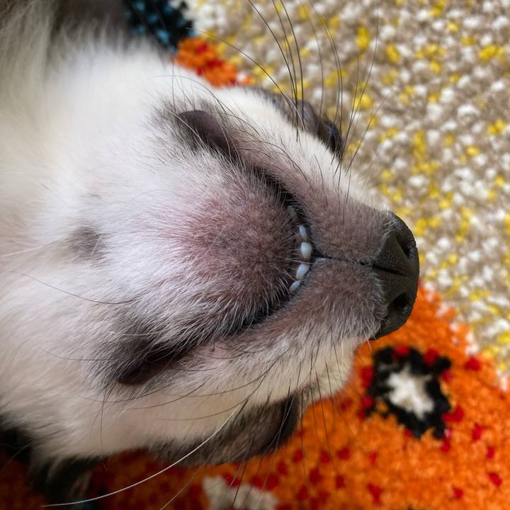 E372c228 e4f2 4ced a82c 425ce866d399 1685289710957