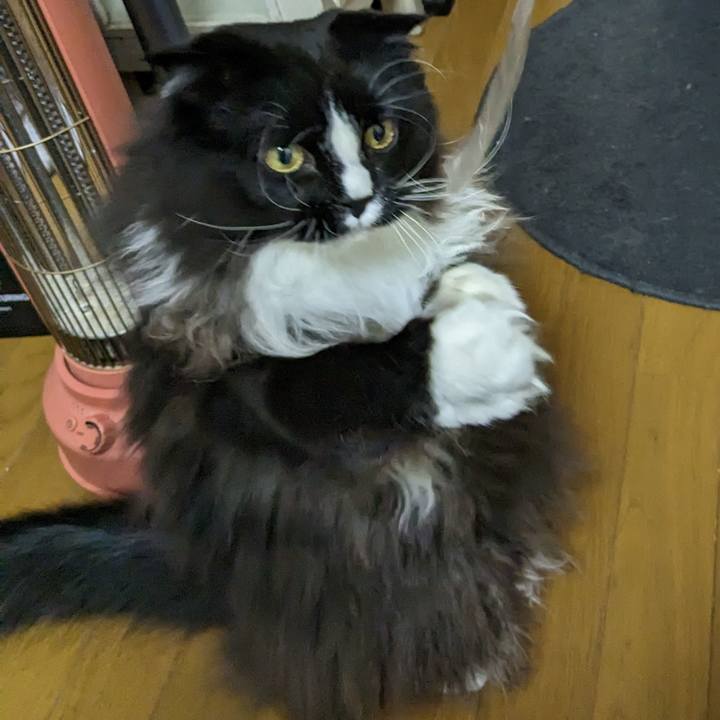 E3731928 fb23 48e8 95fc 6dd5c62701e6 1671943439536