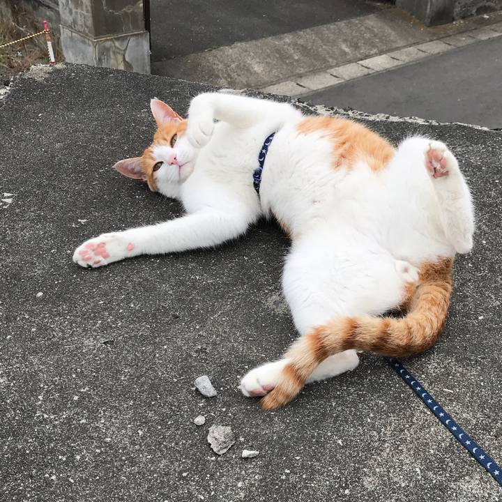 E3732db7 e99f 4e4b 8042 f5d5934d9cfd 1528277398413