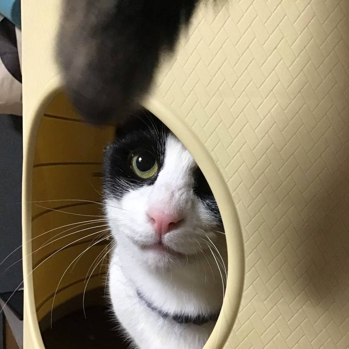 E3734309 936e 4746 8d00 57b4a3e01eea 1667305065944