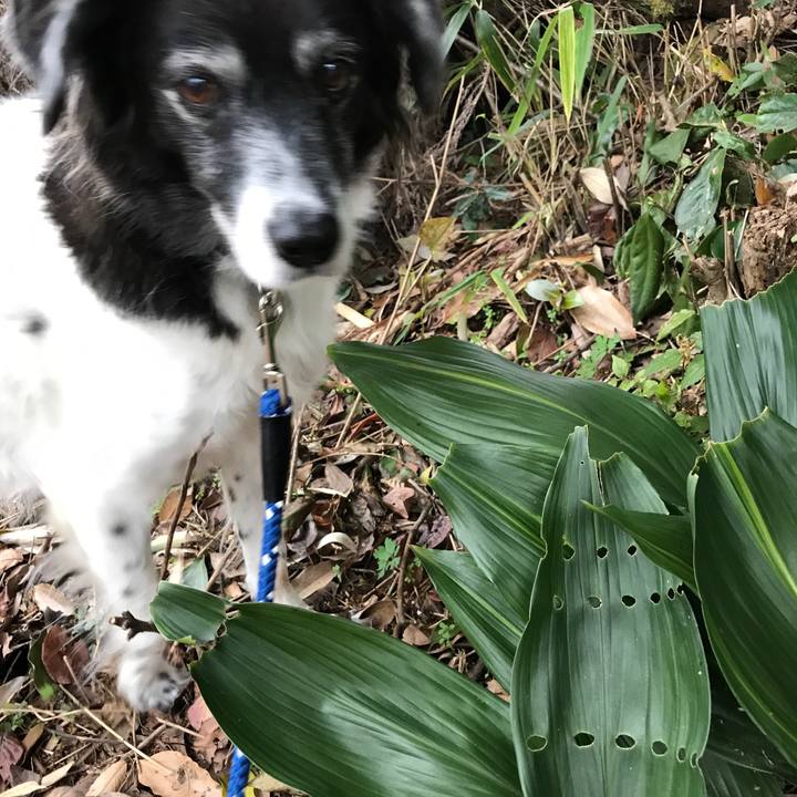 E37353be 7793 4e0c 8dca c29fac2505df 1510981772650