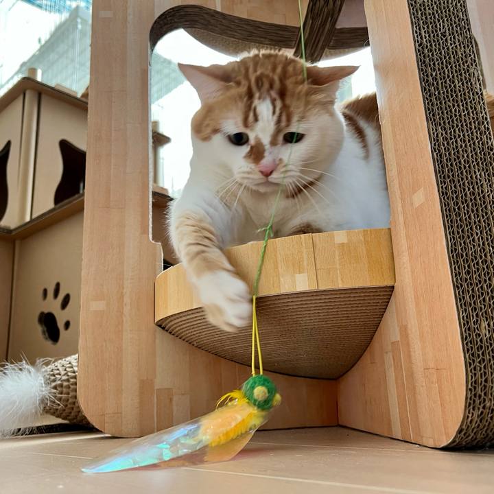 E3736207 3d07 459b 9c97 a3e27201c98d 1773544665424