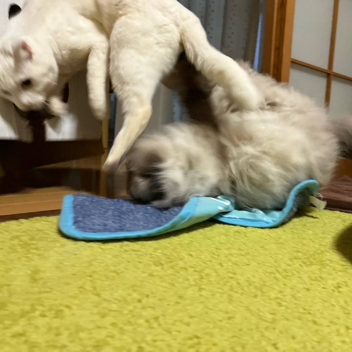 E373810c c98a 430e 9401 55b2b5ca2e86 1706430352614