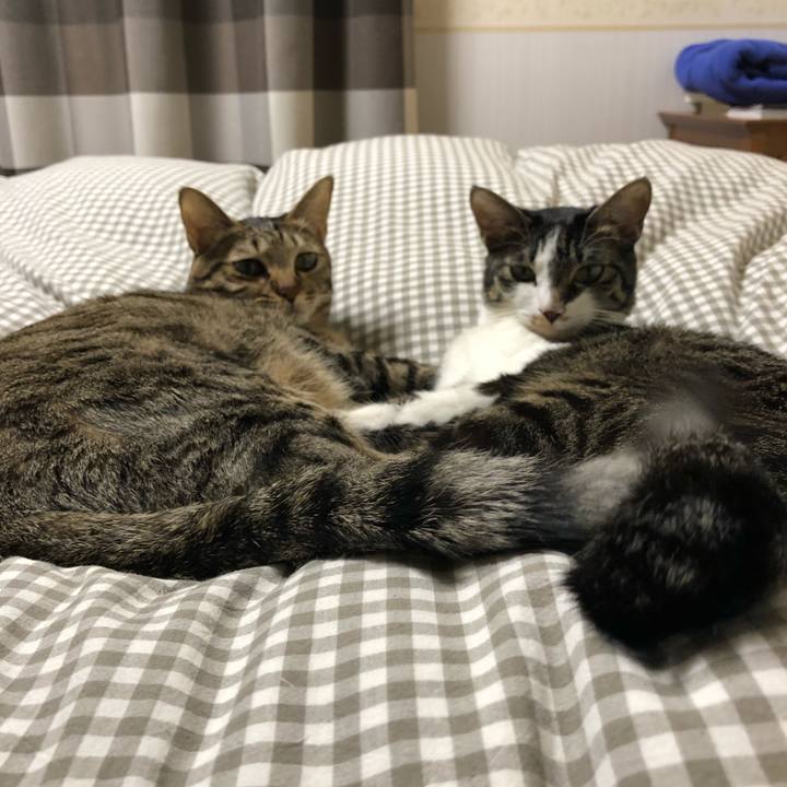 E3738acc e281 4f48 b328 56204a8a944b 1514893808842