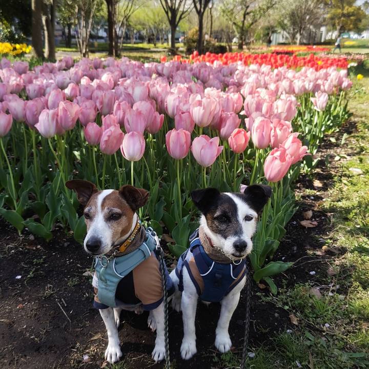 E3739a2f 9511 4ce8 835f b63ed2500a26 1775216287817