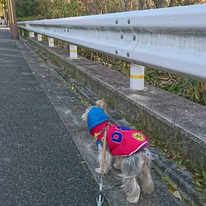 E373c6b2 31c3 4092 befe bebdc6709beb 1512545514453