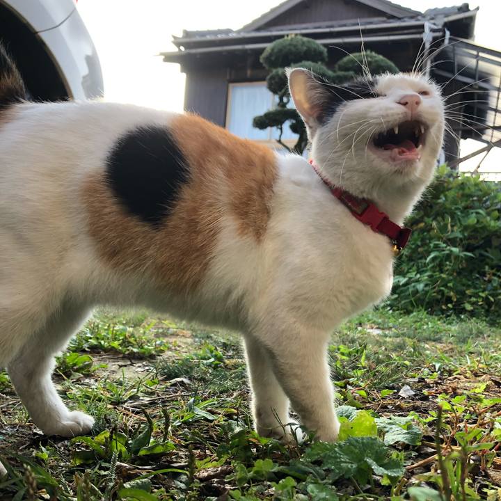 E373ddb7 2991 4e6b 8afa e0ea785e42d8 1633213950206