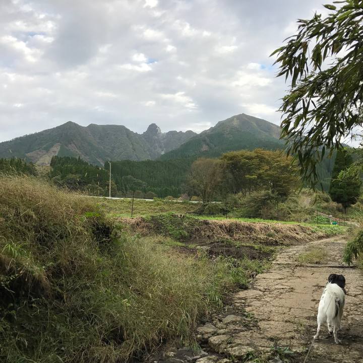 E373f34b b81f 4d96 b08b 2156691f0da5 1508836738959