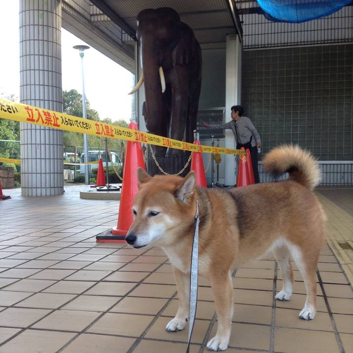 E373ffd6 10d0 473e bab7 5712b866fdee 1540378483638