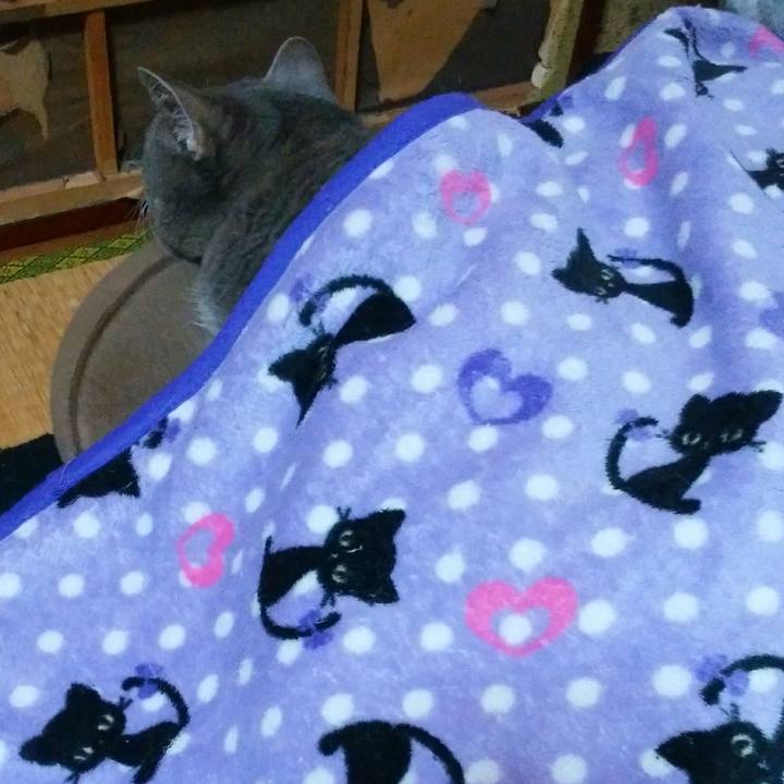 E3741d0c 9967 4c48 9b3c 5a06ea268475 1539436094375