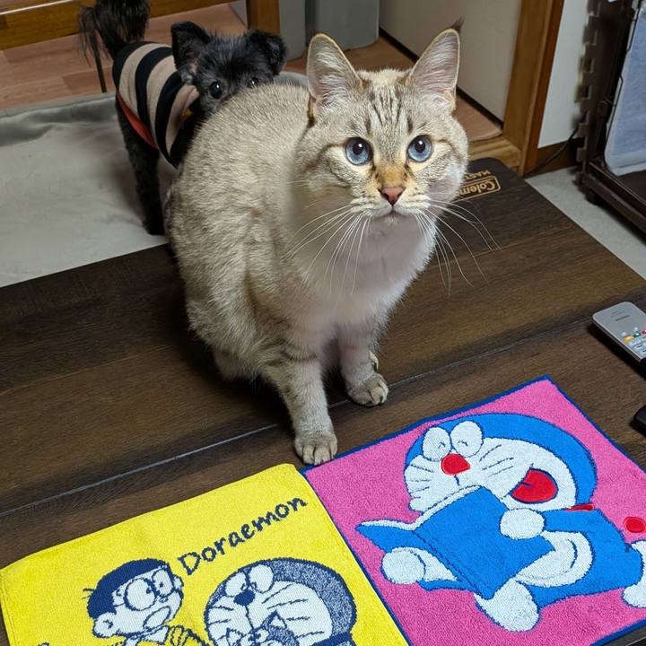 E3745d17 8b4d 404c a4cb d23dc3423eba 1763124108200