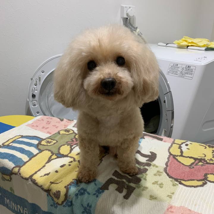 E374ac14 27a6 47e6 b4da 7103231c7162 1605328982234