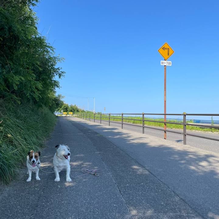 E374df5b 7d12 46b8 9b59 8a9452127fb1 1690073128694