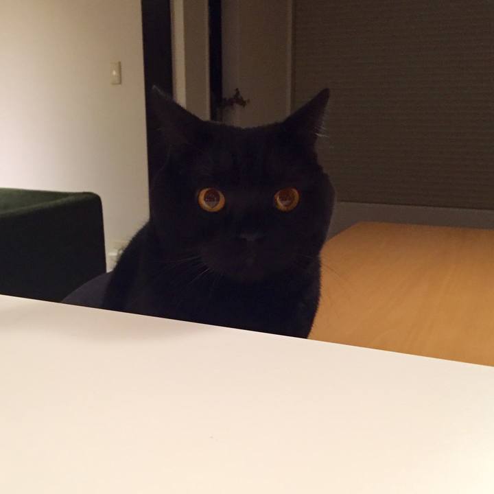 E374ed12 fa82 4448 9596 14fe383bcfae 1574859846643