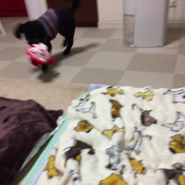 E3750854 ce8f 4cd5 b51a 47834587b99b 1508386464842