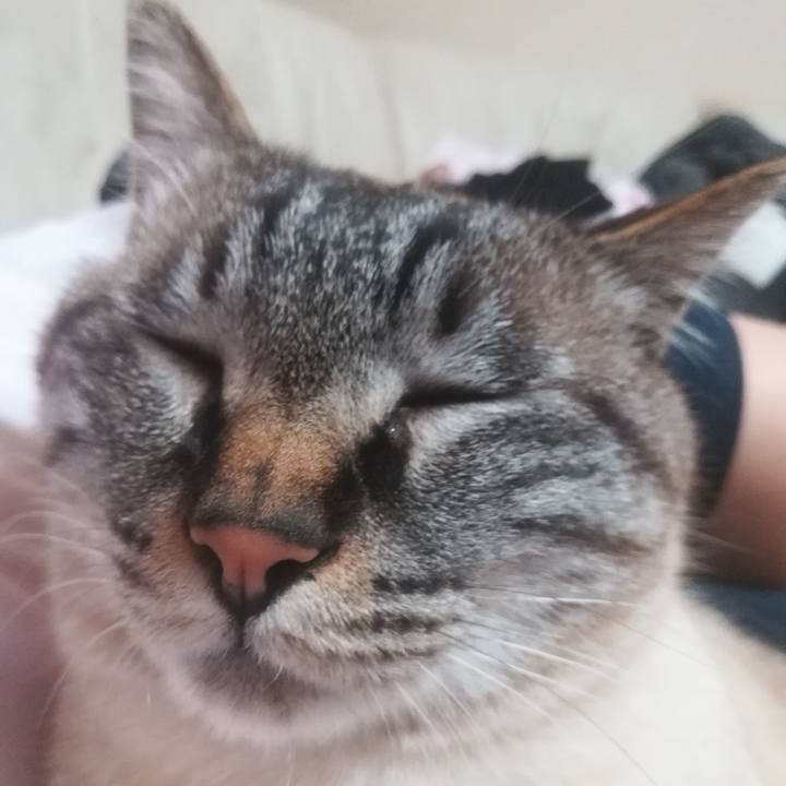 E37513a2 174f 47f3 8ac6 067162e149ce 1526722345673