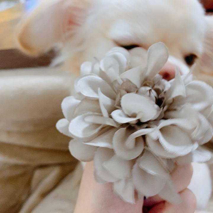 E3754eac cca3 441b b0f4 dfb9d16f61af 1613174662705