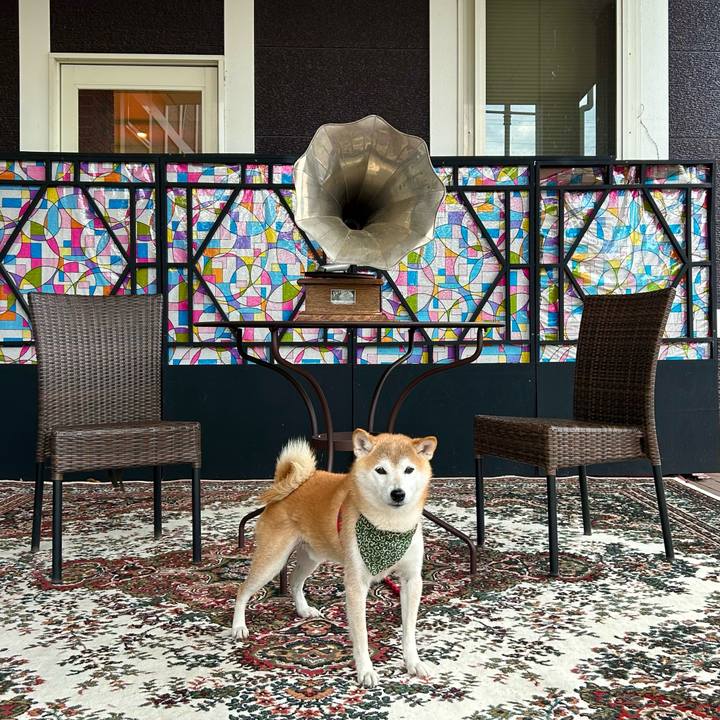 E3755346 5dea 433f ba94 08df231f81cb 1698056760183