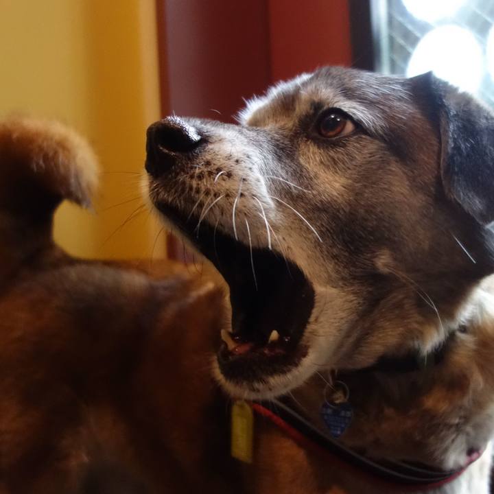 E3755d47 acd6 476c 96c6 56922059344f 1555032183774