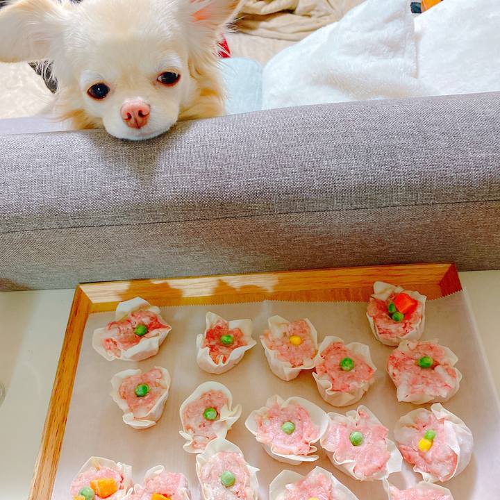 E3758ecf afed 49cf 8ef6 5ce7fdf32309 1645266890589