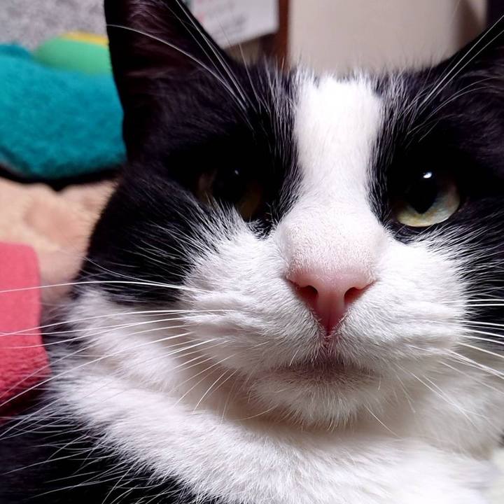 E3759bd7 17fd 4dfc b311 635ce4a776e8 1640691951816