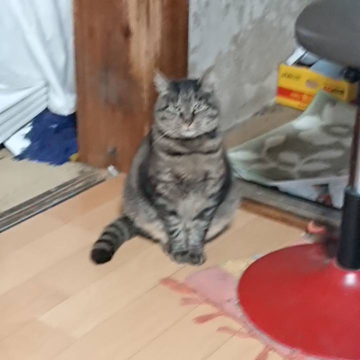 E375fe9b 7915 4b55 90fa 770645ac254a 1655156513856