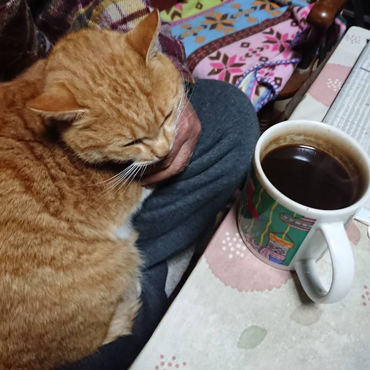 E3762e95 8a3d 4a81 bb0f 01018762ac90 1577044342919