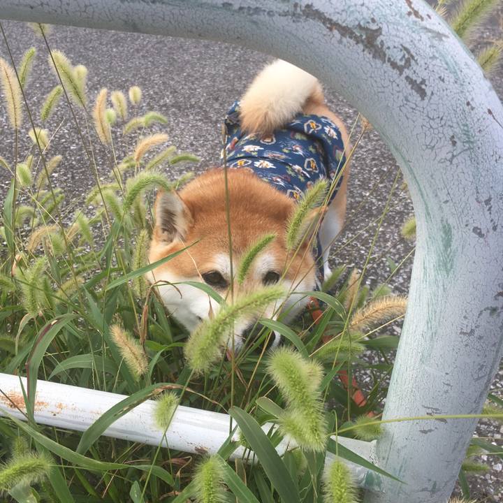 E376382f 4775 4292 9f36 f1bc7609cb35 1565740354692