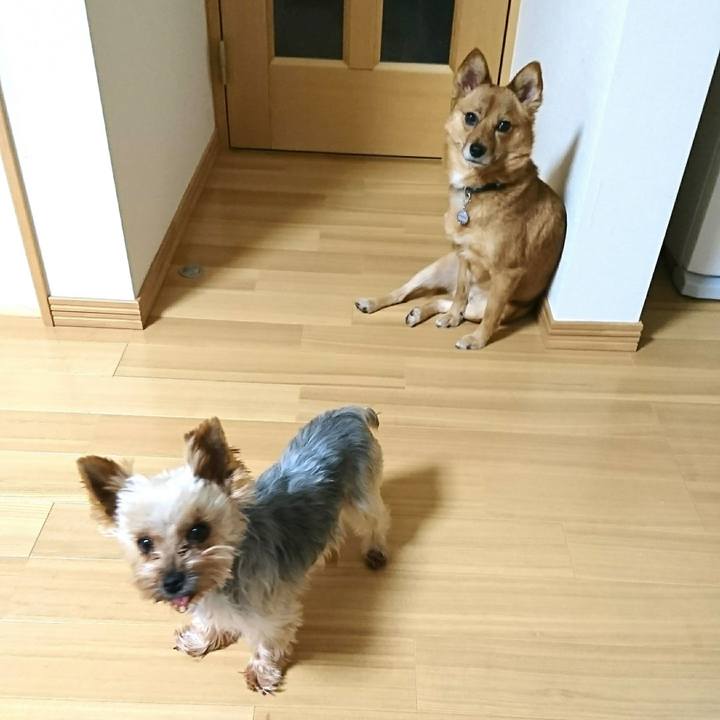 E3764e6f a718 47e3 9f2d 0543d1b253fa 1517663615530