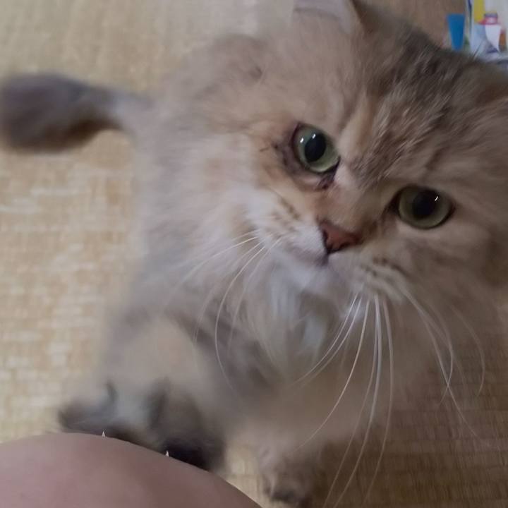 E37670a7 672d 4a23 9186 120a5c7f4406 1597366881757