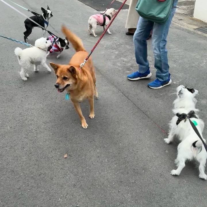 E37747f4 47fb 46ff 9839 6619c857ccce 1759793107918