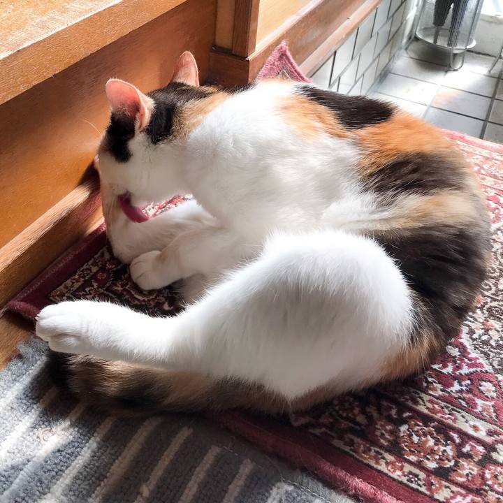 E3775e0e 40ce 4c21 834c dff763e6bf32 1529808958127