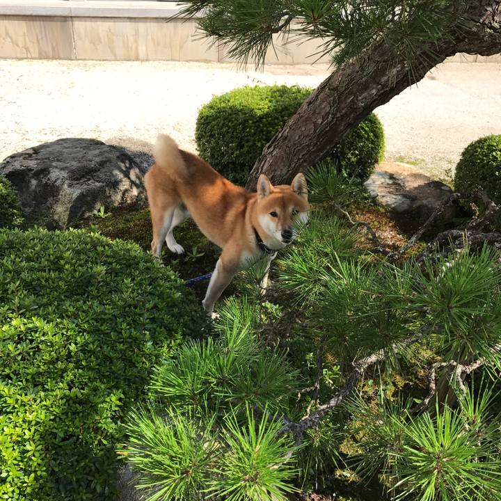 E3777f26 0e80 4513 b7c2 fc8f06c53d13 1539262199791