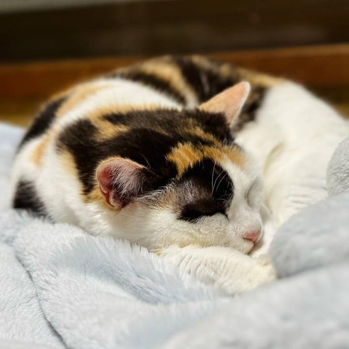 E377c792 d21a 4e15 9727 3868ffe8ecba 1715218652657