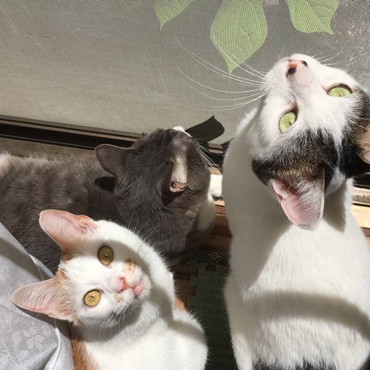 E377f6e6 4b0f 4051 8507 768a9da09a79 1525515559833