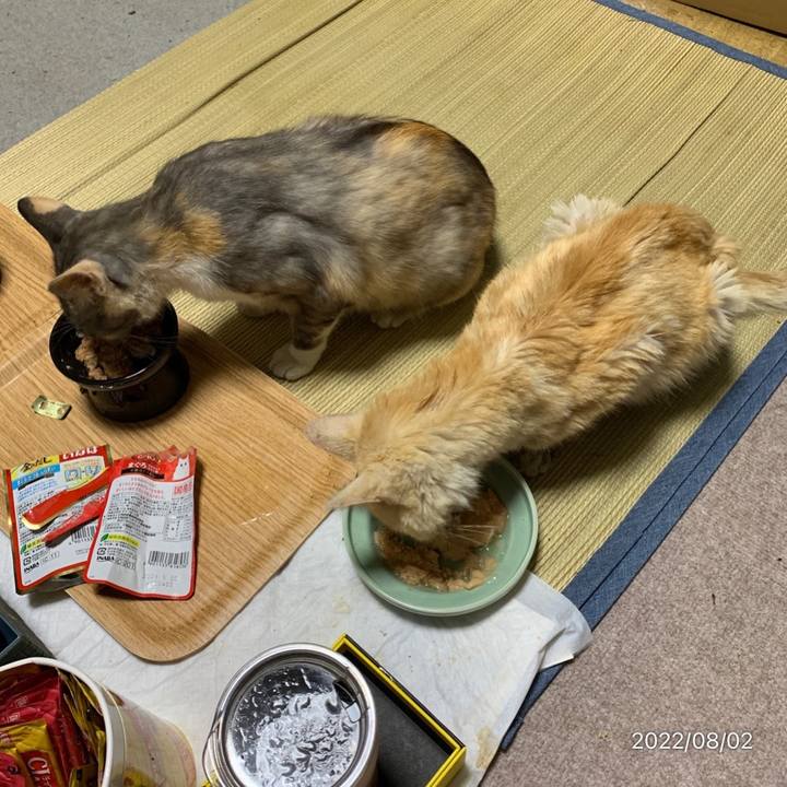 E378126e cc31 47be aa8c 487d26ed31c8 1659447834422