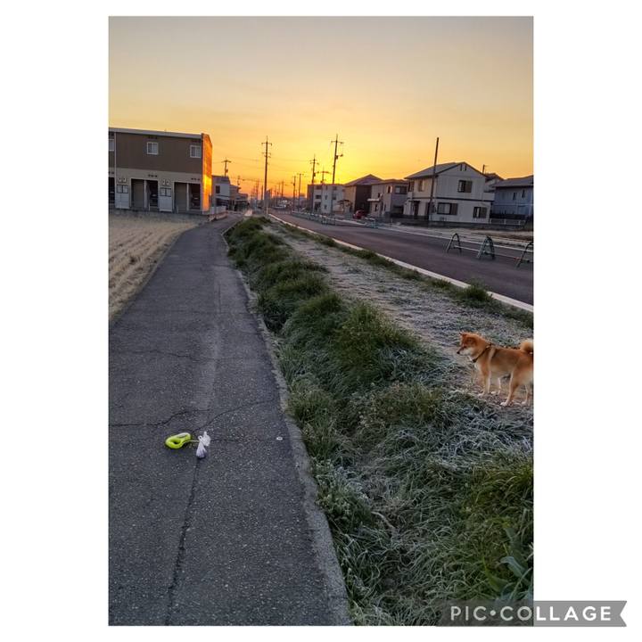 E378651c 6099 42bd 9fca 1bd2a7f61158 1677546734592