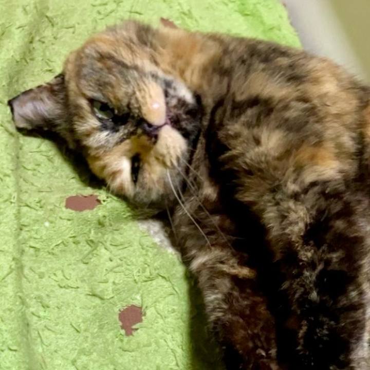 E378c638 aebc 4917 af36 de4fb908967c 1737918861525