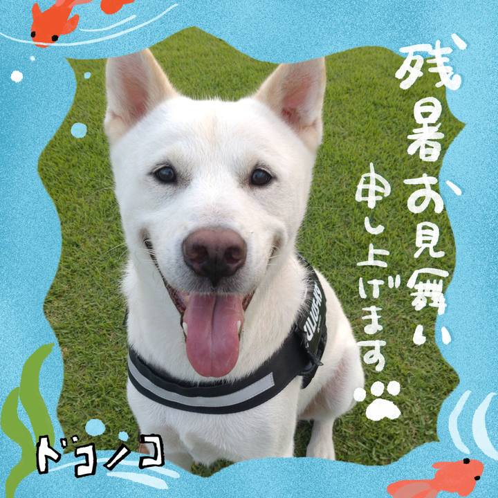 E378c6c1 8fec 454f 9ab0 4b20aab711f9 1723454826747