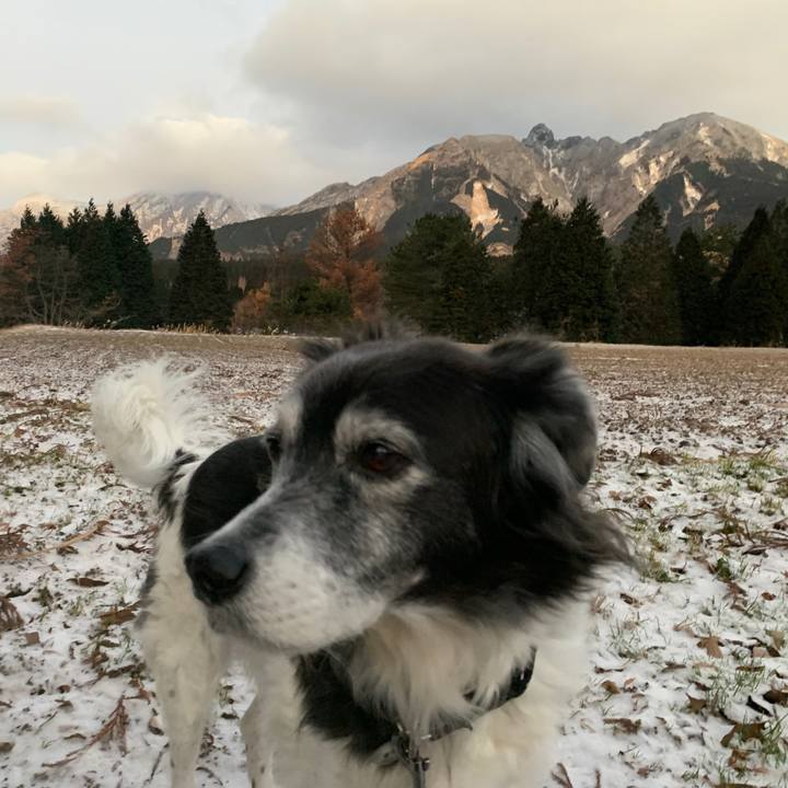 E378c9f5 ee0c 452e b4b4 fa9862d5e9ec 1609408388483