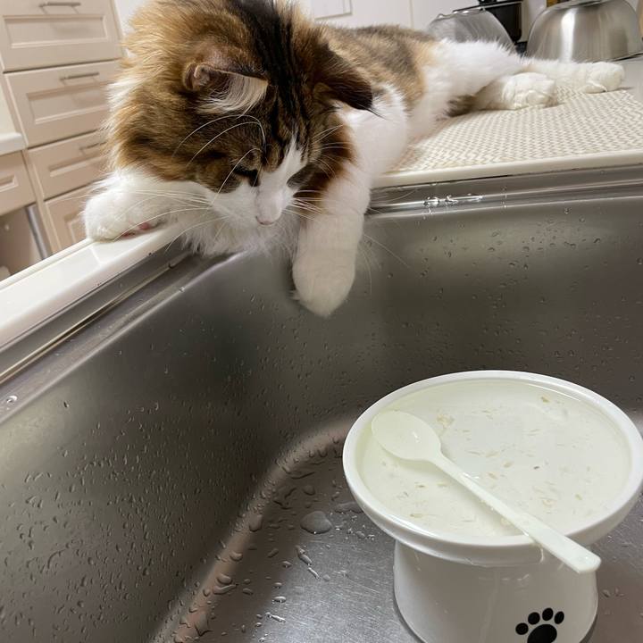 E378cfb6 b8cb 4f8e 92ac 8031c1a38ac7 1664102483306