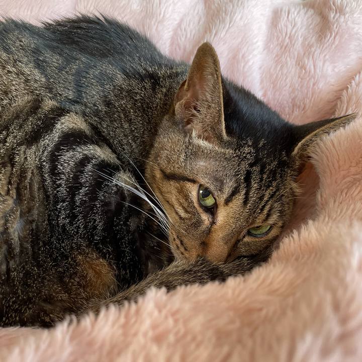 E378e472 3972 446d be8e 8b673656c419 1606871388377