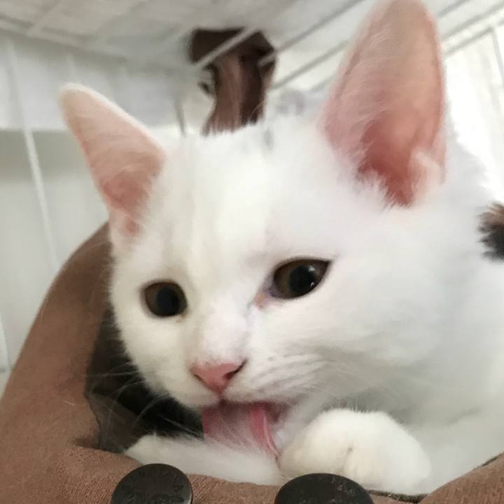 E3791d9e 7acb 46f1 a668 3d3331b45f2e 1508641242576