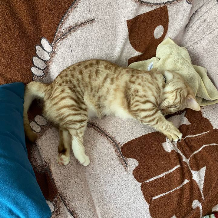 E3792033 825f 468c b672 0c772a1a611e 1627097120568