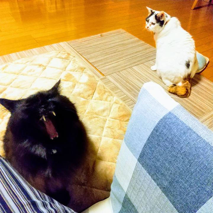 E3792f24 a2b8 450d bd21 6505c2027fe8 1634298083777